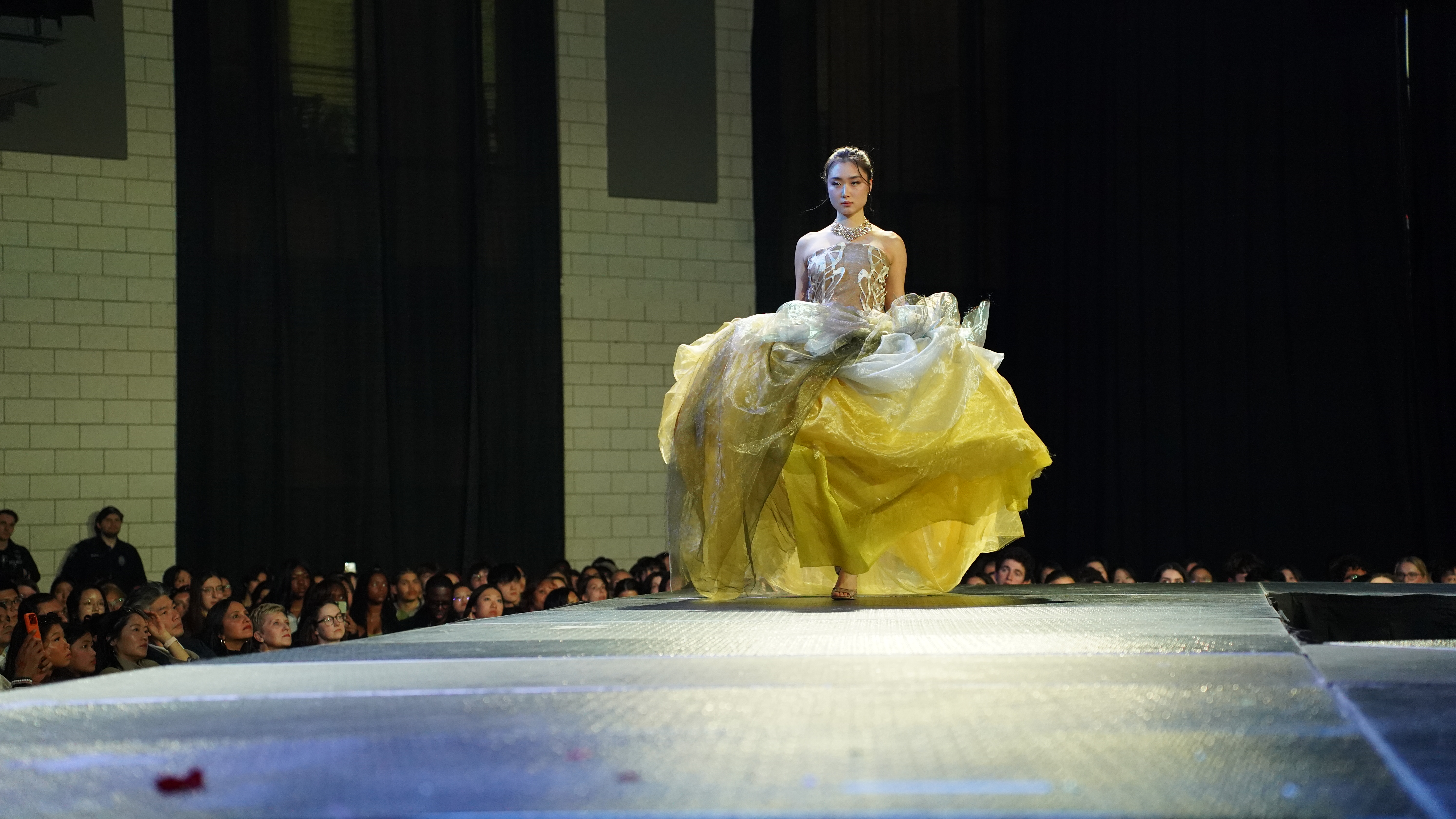 Vestige — DSC02705.JPG