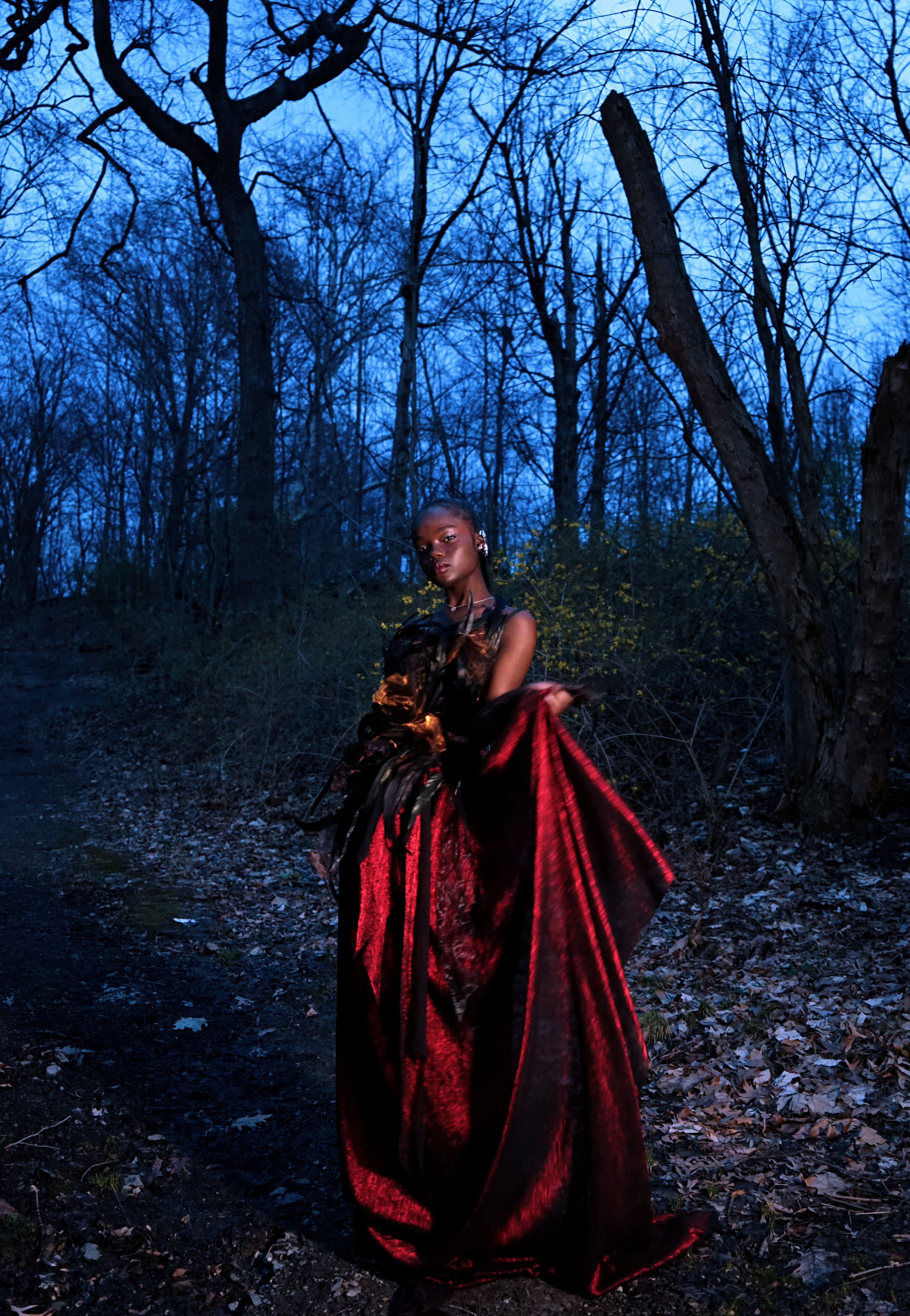 Vestige — nsheraa.png