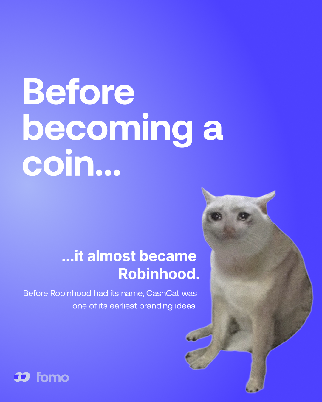 CashCat graphic 2