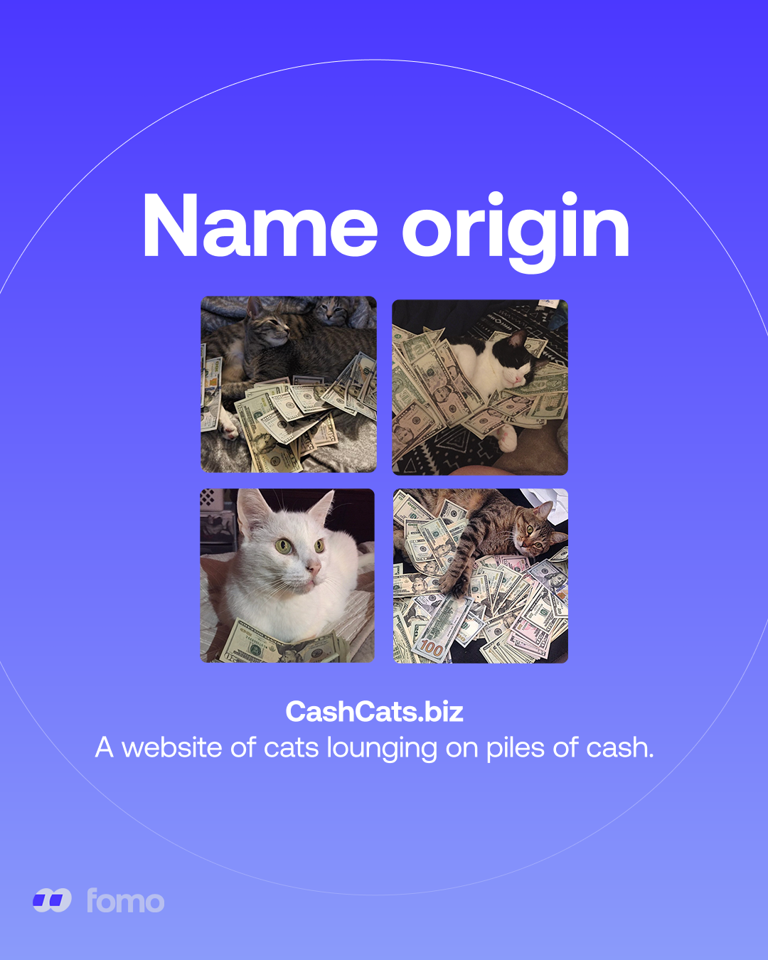 CashCat graphic 4