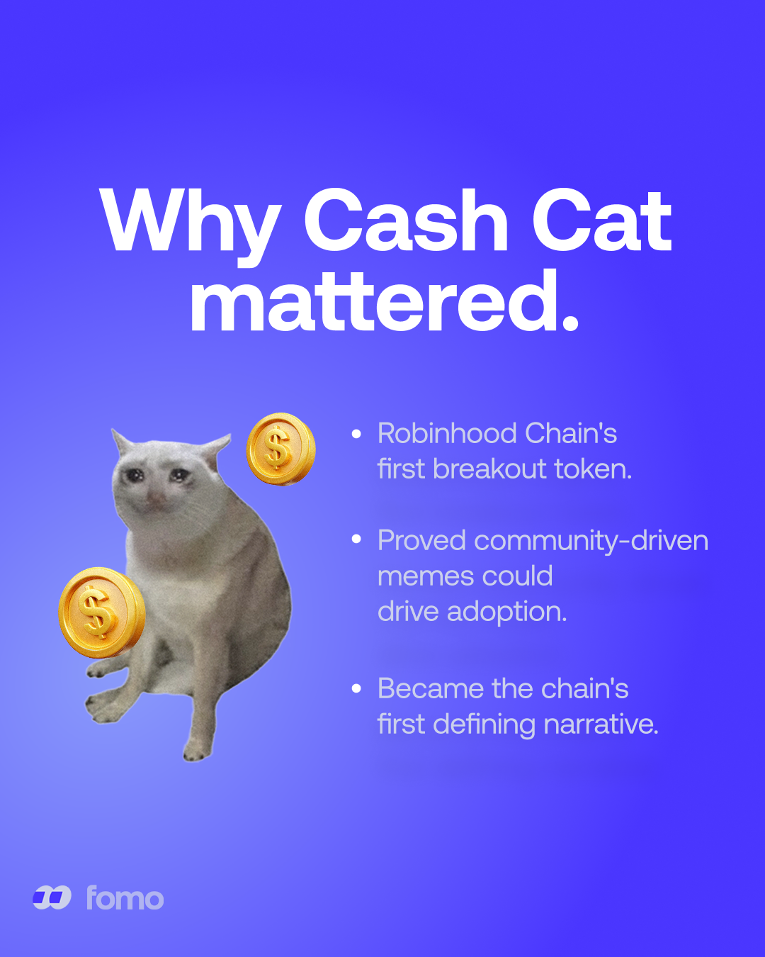 CashCat graphic 8